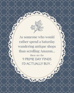 I think you’ll find some items you haven’t seen yet from other creators - tucked in with all of my second-hand finds. 
Follow + comment “HIDDEN GEMS” and I’ll send you a direct message to shop my affiliate link, which brings you straight into your Amazon app. 

Can you spot these gems among all of my vintage and antique treasures? 
1st photo: White terracotta cachepot as a centerpiece
2. Antique-inspired brass faucet 
3. White terracotta cachepot styled on a vintage chair
4. Arched cabinet with fluted doors
5. Scalloped woven tray - best size+price I’ve found 
6. Scalloped woven tray styled another way
7. Block print Roman shades
8-10. Roman shades, coordinated bathmats, cabinet knobs and pulls
11. Blue scroll vase styled for Christmas 
12. Blue scroll vase styled for Valentine’s Day
13. UV-resistant faux florals
14. Shatterproof spice jars with labels
15. Checkered cutting board
16-17. Green scroll vase & interior design book
18. Faux roses - full & realistic 
19. Dining room rug
20. Blue scroll vase

#primedaydeals #decoratewithme